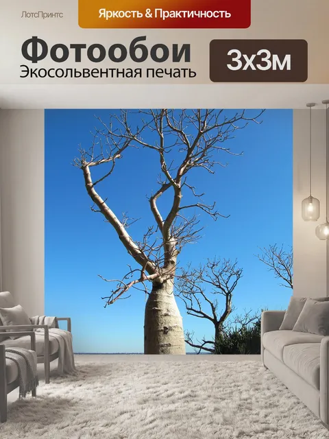 Фотообои Баобаб