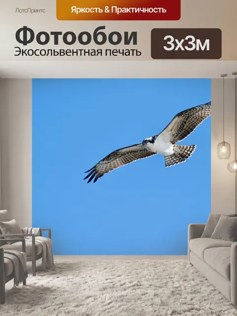 Фотообои Скопа