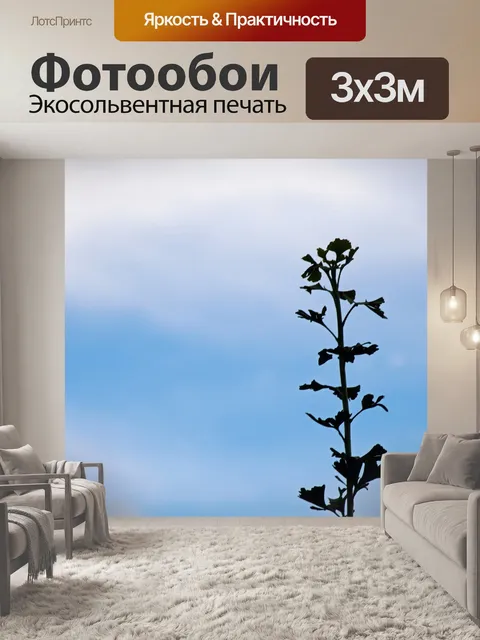 Фотообои верхушка дерева гинкго билоба