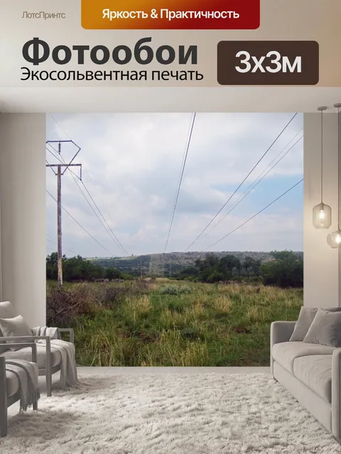 Фотообои группа зебр на расстоянии