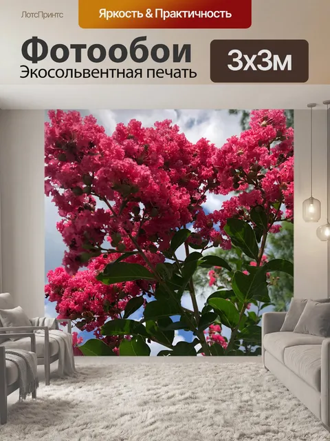 Фотообои Креп Миртл