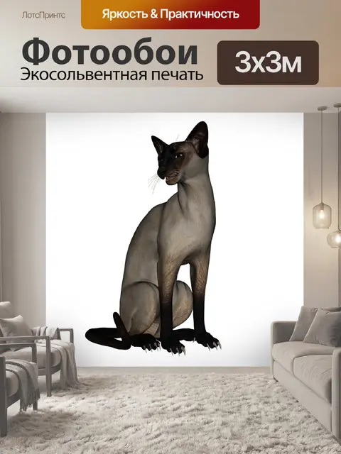 Фотообои Кошка