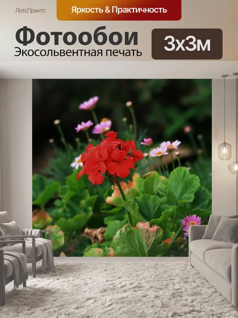 Фотообои ярко-красный цветок герани