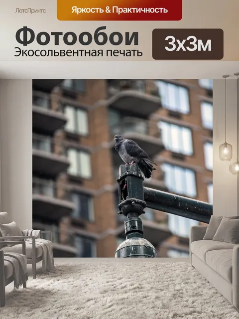 Фотообои Голубь в Манхэттене