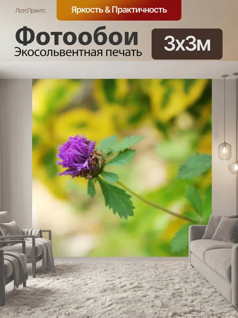 Фотообои Фиолетовый цветок 2