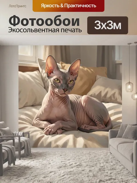 Фотообои Кошка сфинкс на кровати