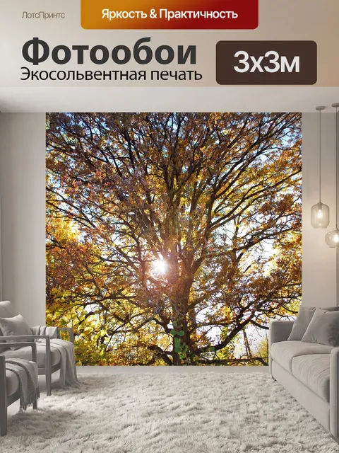Фотообои Осеннее дерево