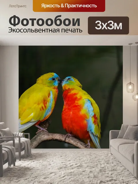 Фотообои Красивый попугайчик