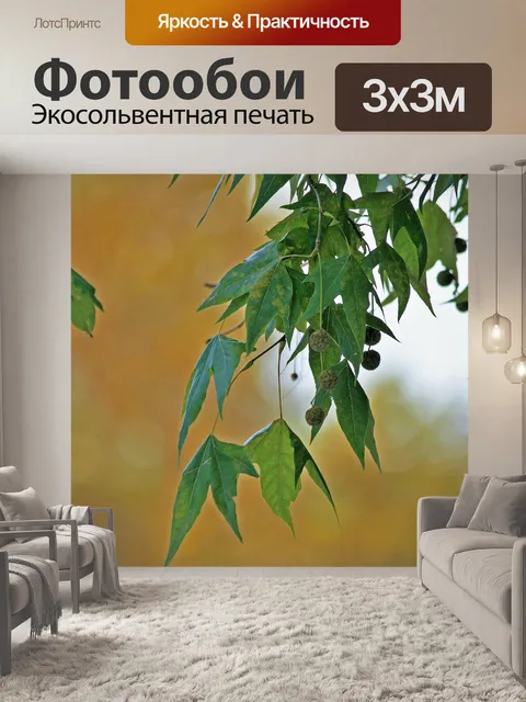Фотообои плоские листья деревьев и семена