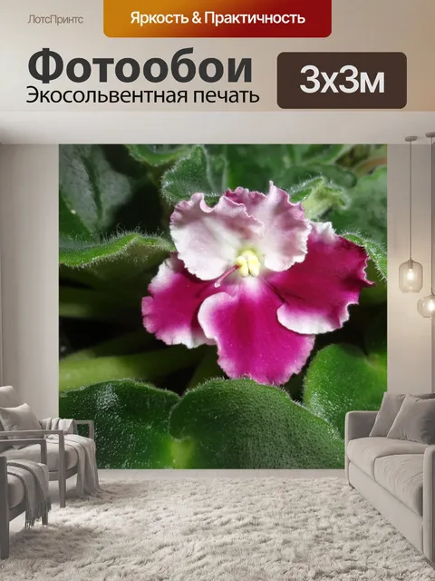Фотообои Цветок