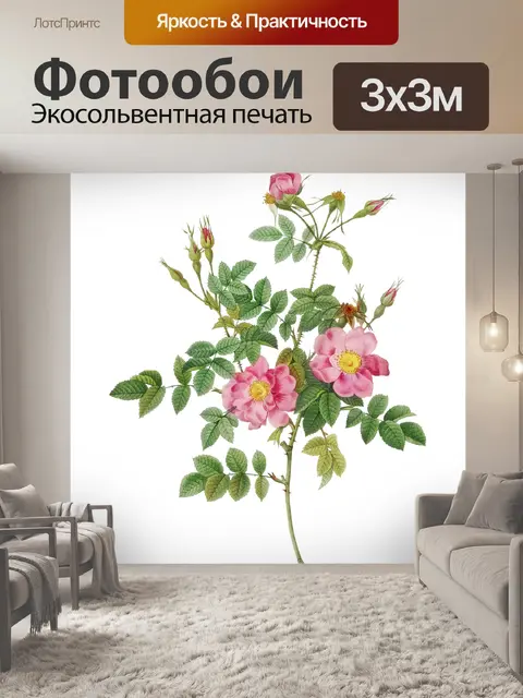 Фотообои Винтаж Клипарт Розы Цветы