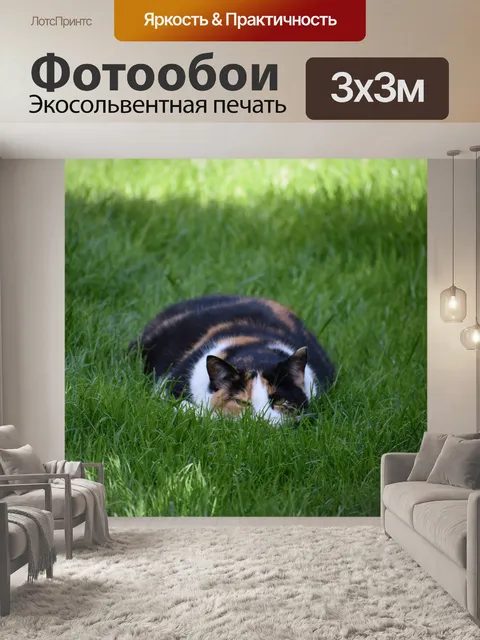 Фотообои Кошка
