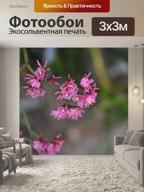 Фотообои Розовые цветы Заостренные