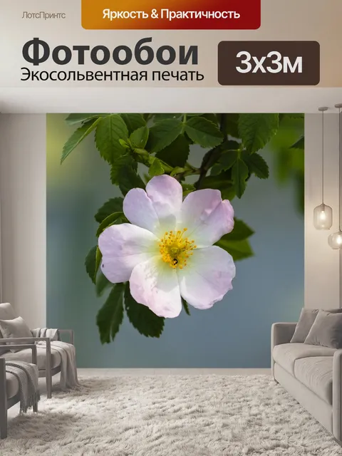 Фотообои Уайлдфлауэр