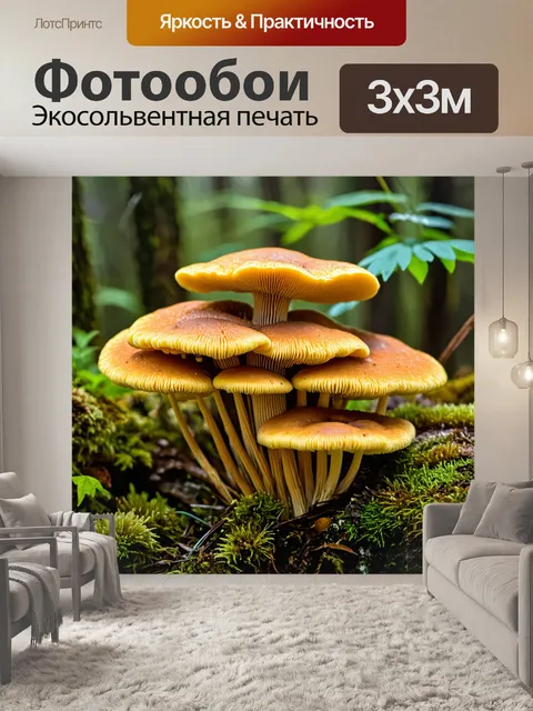 Фотообои грибы плесневые, хозяева во влажной следовой среде, среди травы и мха