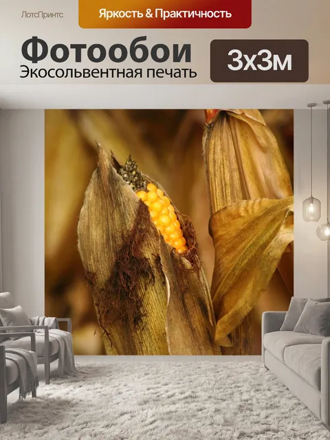 Фотообои Кукуруза в початках
