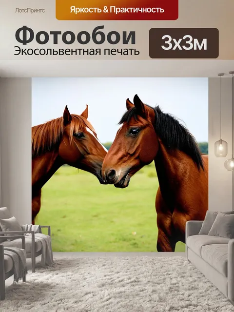 Фотообои лошадь, дружелюбно трогая своего другого друга