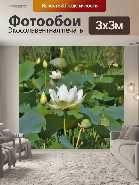 Фотообои Цветок лотоса и лилии