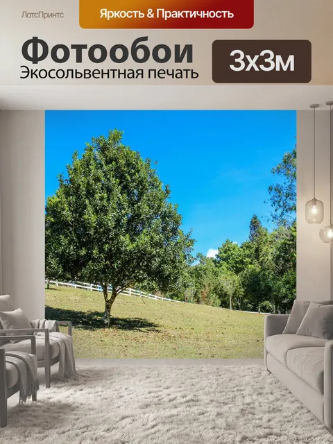Фотообои Тропическое дерево на северо-востоке