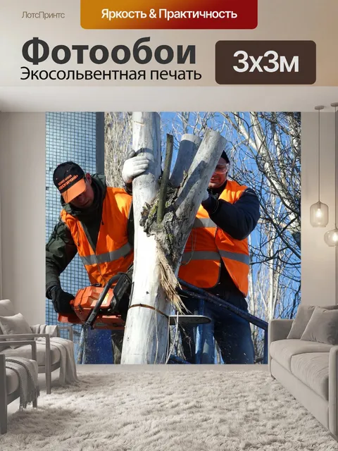 Фотообои Спил