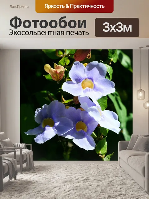 Фотообои Цветок