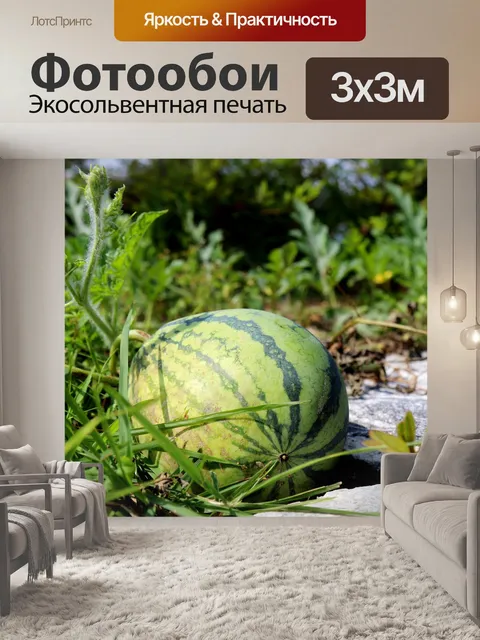Фотообои Арбуз