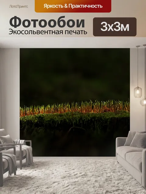 Фотообои Мох