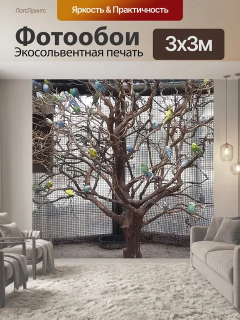 Фотообои Птицы