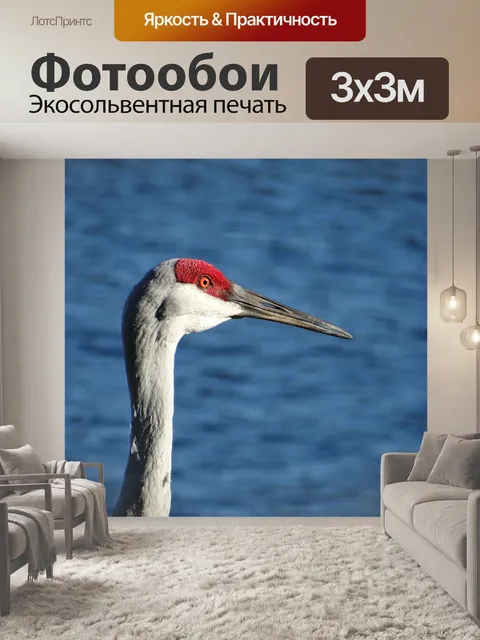 Фотообои Песчаный журавль