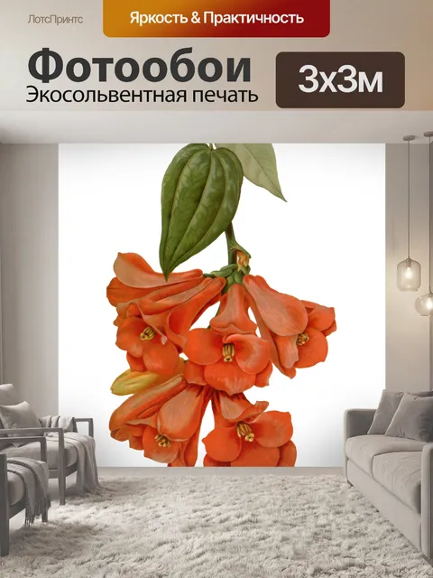 Фотообои Цветы