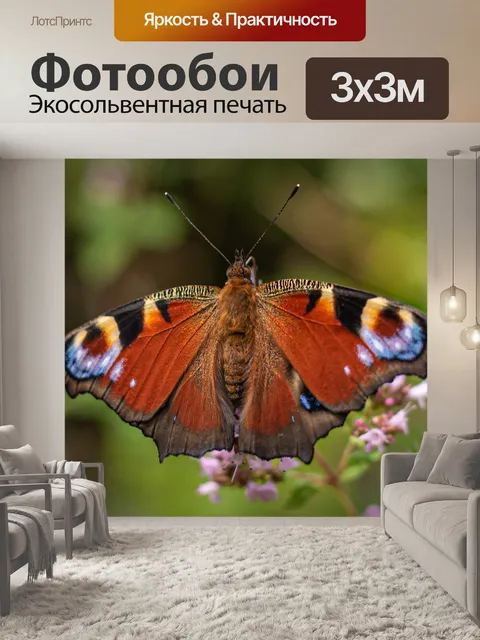 Фотообои Бабочка