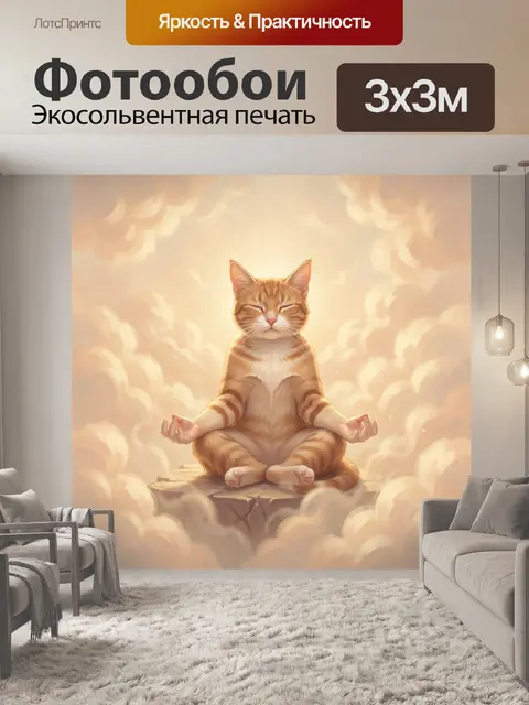 Фотообои Кот-медитатор среди облаков