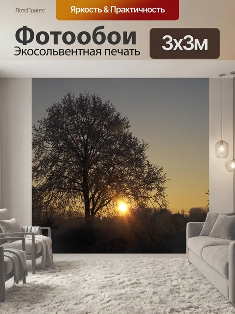 Фотообои Восходящее солнце