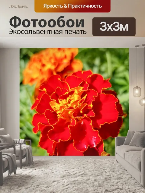 Фотообои красный календула