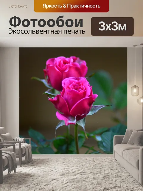 Фотообои Розы