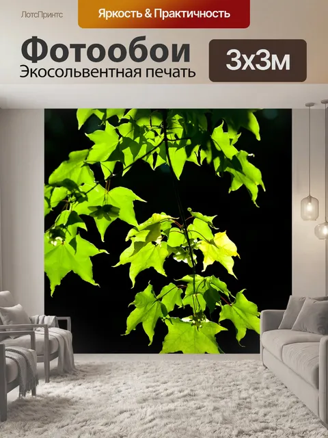 Фотообои Листья на темном фоне