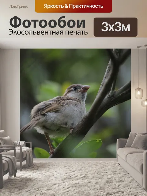 Фотообои Птицы