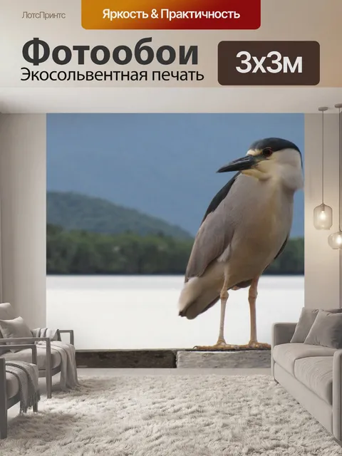 Фотообои Гуаракесаба