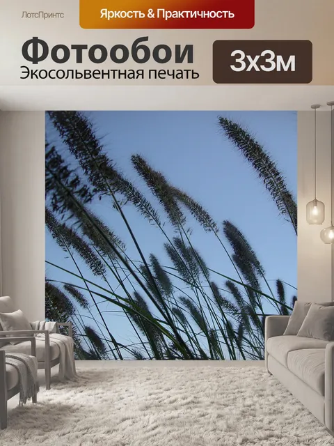 Фотообои Трава