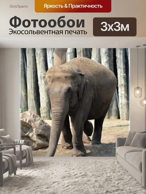 Фотообои В ванне со слонами 2,10