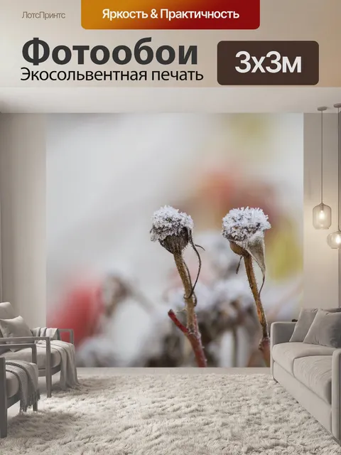 Фотообои Фрост