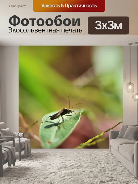 Фотообои Насекомые