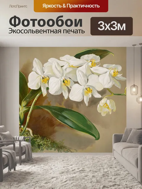 Фотообои Старинные ботанические цветы орхидеи