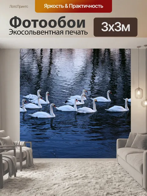 Фотообои Лебеди
