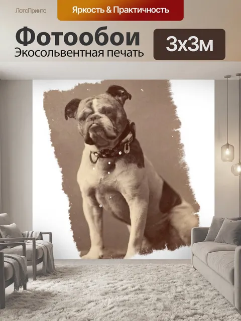 Фотообои Винтаж