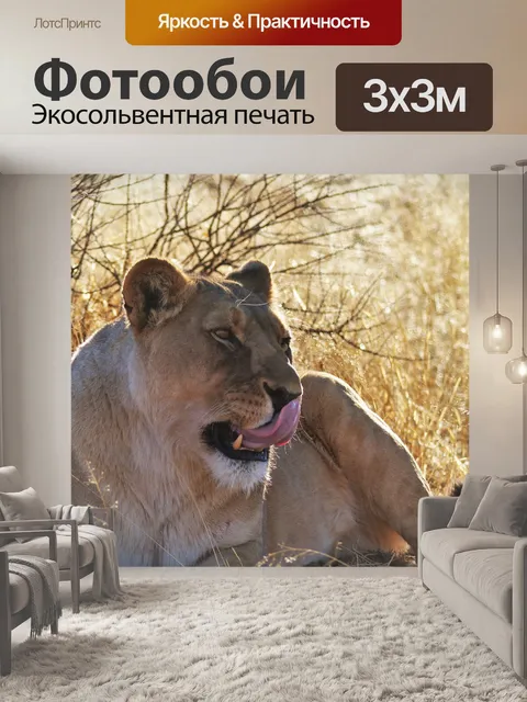 Фотообои Лев