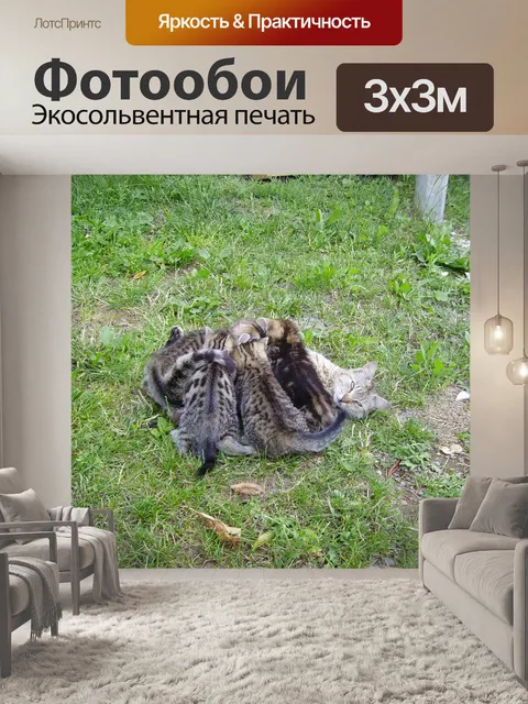 Фотообои Семейство кошачьих