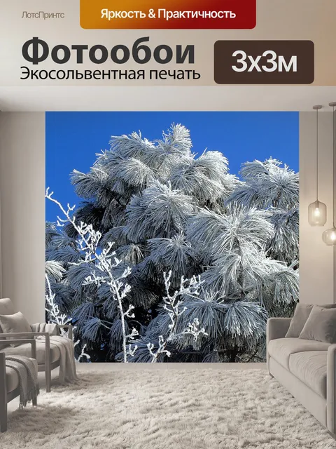 Фотообои Фрост