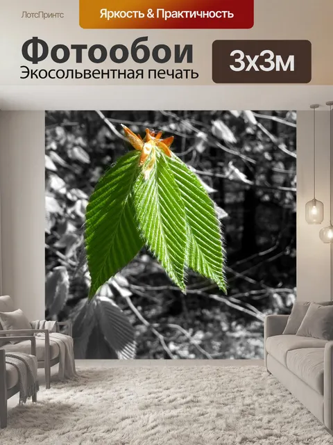 Фотообои Зеленый лист