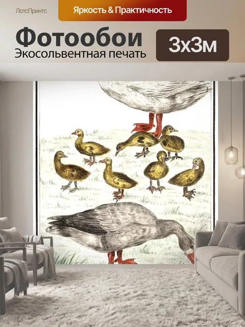 Фотообои Гусь цыпленок винтажное искусство